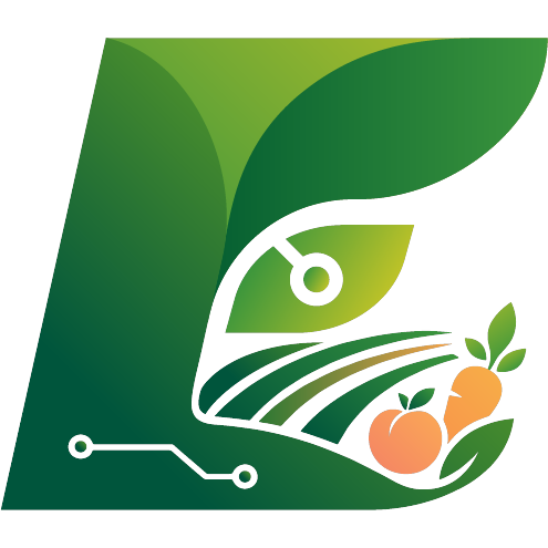 上传
