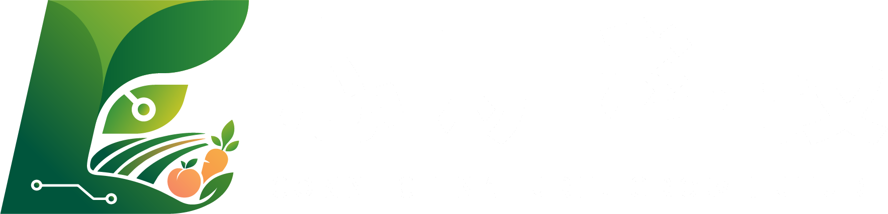 芯耕科技